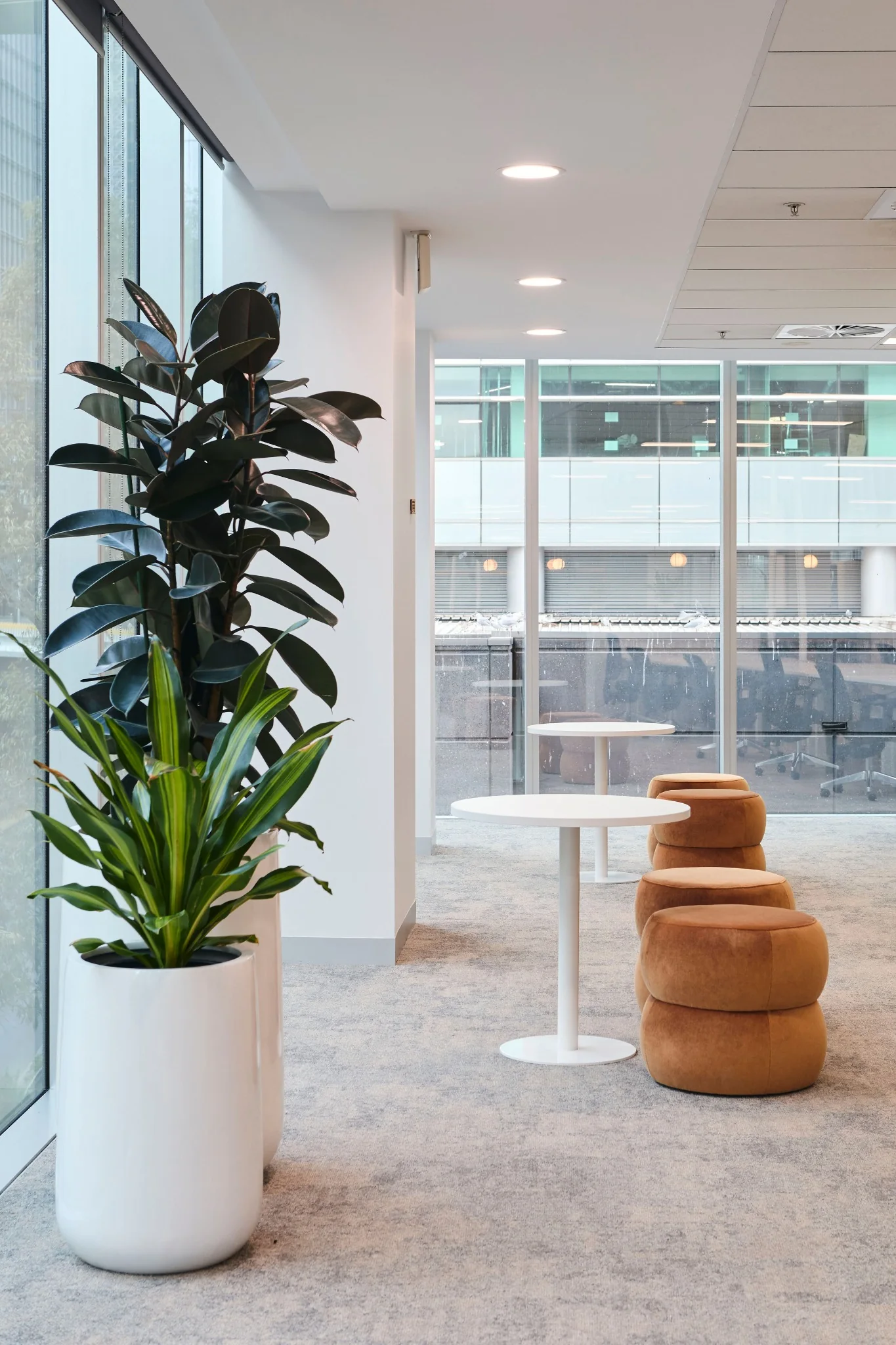 Commercial workplace detail and planting